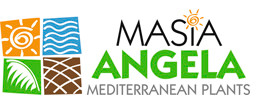 Masía Ángela Mediterranean Plants