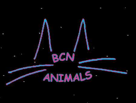 BCN ANIMALS