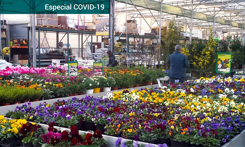 Semana Santa sin flores: Productores y centros de jardinería piden reanudar  las ventas en la línea de los países de la UE