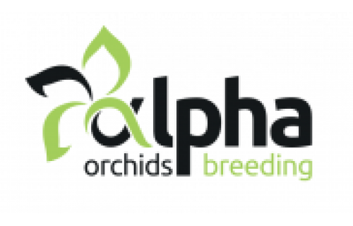 Alpha Orchids Breeding